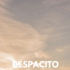 Ruído branco - Despacito