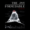 The Joy Formidable - Cradle