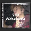 Plinky - PINXULEADA (2025 VERSION)