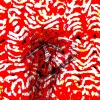 Noomling、kvxniaa! - BEEF SQUASH (feat. kvxniaa!)(Explicit)