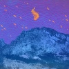 Pelican - Gulch