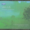 finnish radio symphony orchestra、Jukka-Pekka Saraste - I. Andante, ma non troppo - Allegro energico
