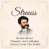 Vienna Opera Orchestra - Be Embraced - Waltz Op. 443