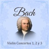 Joseph Brezina、Camerata Romana - I. Allegro