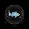 ヤブ犬、知声 - i-no-ri (feat. 知声)