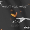 Lil Van - What You Want (Explicit)