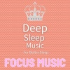 Focus Music - No Distraction Beats