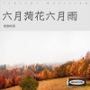 优愁的风 - 六月菏花六月雨