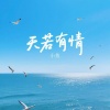 小鱼 - 天若有情
