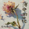 安儿陈 - 薄命的花