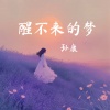 孙康 - 醒不来的梦