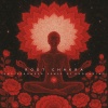 Chakra Healing Music Academy、Pure Day Academy - Rooted in Stillness