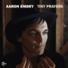 Aaron Embry - Moon of the Daylit Sky