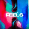 Raylon、Icy Lando、Ty Dolla $ign - Feels