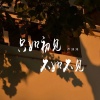 卢润泽 - 只如初见不如不见