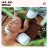 Wellness、Ayurveda、Amazing Spa Music、Relaxing Spa Music Zone、Relaxing Massage Zone - Soft Harmony