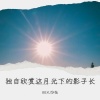 BEKJ华灿 - 独自欣赏这月光下的影子长