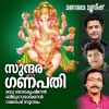 Biju Naryanan - Kottarakarayile