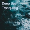 Catching Sleep、Ocean Sounds for Sleep、The Wave Sleep Machine - Below the Surface Calm