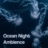 Ocean Noises、Relaxing Ocean Sounds - Moonlight over Tidal Flow