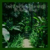 Intentional Vibes - Enchanted Forest