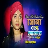 Baula Sharmin - সোনা বন্ধে আমারে দিবানা বানাইলো