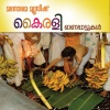 Radhika Thilak - Chingappulari