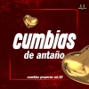 Cumbias De Antaño、Cumbias De Siempre - Me Cambiaste La Vida