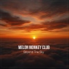 Melon Monkey Club - Beyond The Sky