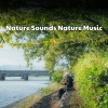 Sonidos de la naturaleza Relajacion、Regengeräusche、Nature Sounds Nature Music - Forest Sounds for Focus