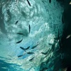 DJ阿柒Mix - 给时间一点时间
