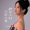赵洋 - 种什么因结什么果