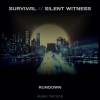 Silent Witness - Rundown