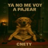 Cnety - Ya No Me Voy a Pajear (Explicit)