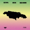 Friends Only、MediSun、Beres Hammond、Jesse Royal - Born in Jamaica