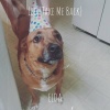 Elda - Leo (Take Me Back)