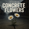 Ciceron - Concrete Flowers