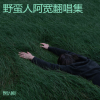 野蛮人阿宽 - 别说我的眼泪你无所谓 (经典版)