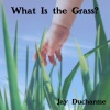 Jay Ducharme - What Is the Grass?