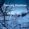 Torfi  Olafsson - Dancing Shadows