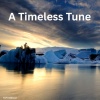 Torfi  Olafsson - A Timeless Tune