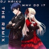 Dj Haiku - Why do I? (The Remix)
