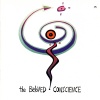 the beloved - Spirit