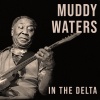 Muddy Waters - Mannish Boy