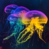 Musica Relajante、Músicas Para Relaxar、Canciones Infantiles Para Niños - Undersea PeacefulMeditation Underwater75