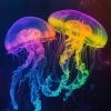 Musica Relajante、Músicas Para Relaxar、Canciones Infantiles Para Niños - Undersea PeacefulMeditation Underwater77