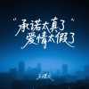 王理文 - 承诺太真了爱情太假了
