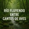 Sonidos de aguas tranquilas - Río Fluyendo con Aves en Paz
