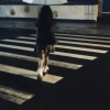 鱼破冰 - 你只会说对不起