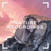 Forest Sounds、Baltic Nature Sounds、Forest Sounds For Sleep - Night Time (Original Mix)